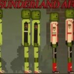 Sunderland-AFC3736.jpg