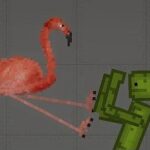 Flamingo5386.jpg