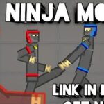 ninja5872.jpg